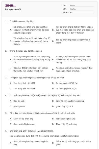 Bài luyện tập số 1