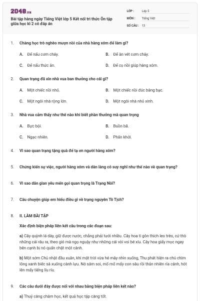 Bài tập hàng ngày Tiếng Việt lớp 5 Kết nối tri thức Ôn tập giữa học kì 2 có đáp án