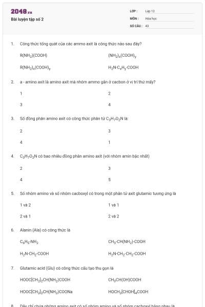 Bài luyện tập số 2