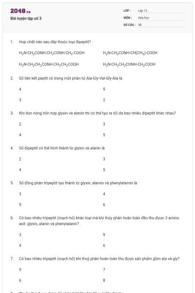 Bài luyện tập số 3