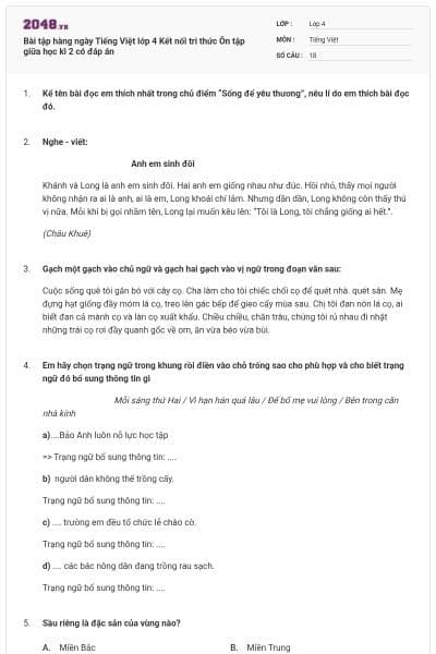 Bài tập hàng ngày Tiếng Việt lớp 4 Kết nối tri thức Ôn tập giữa học kì 2 có đáp án