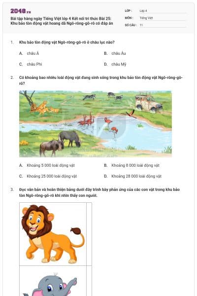 Bài tập hàng ngày Tiếng Việt lớp 4 Kết nối tri thức Bài 25: Khu bảo tồn động vật hoang dã Ngô-rông-gô-rô có đáp án