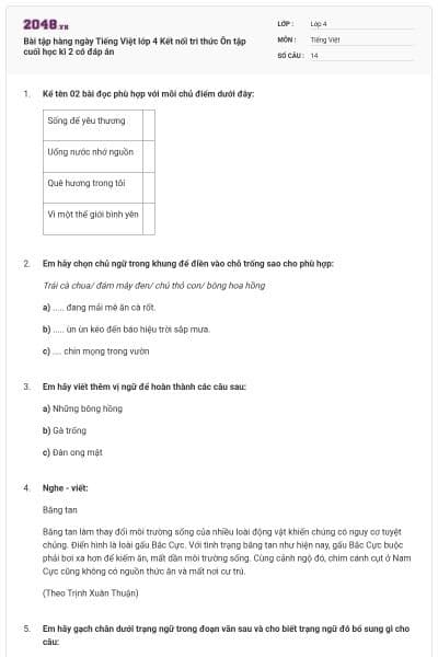 Bài tập hàng ngày Tiếng Việt lớp 4 Kết nối tri thức Ôn tập cuối học kì 2 có đáp án