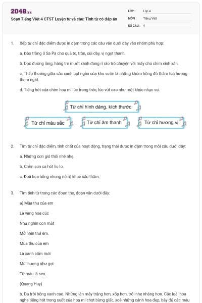 Soạn Tiếng Việt 4 CTST Luyện từ và câu: Tính từ có đáp án