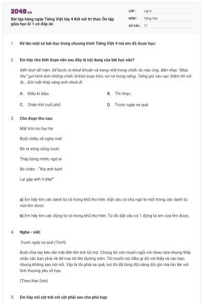 Bài tập hàng ngày Tiếng Việt lớp 4 Kết nối tri thức Ôn tập giữa học kì 1 có đáp án