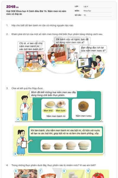 Giải SGK Khoa học 4 Cánh diều Bài 16. Nấm men và nấm mốc có đáp án