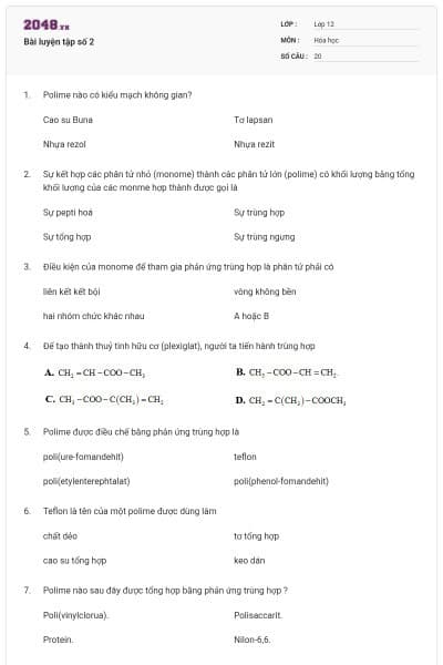 Bài luyện tập số 2