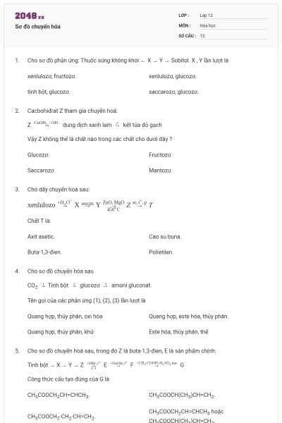 Sơ đồ chuyển hóa