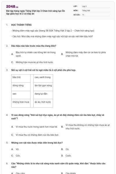 Bài tập hàng ngày Tiếng Việt lớp 3 Chân trời sáng tạo Ôn tập giữa học kì 2 có đáp án