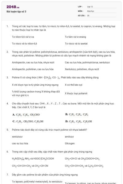 Bài luyện tập số 3