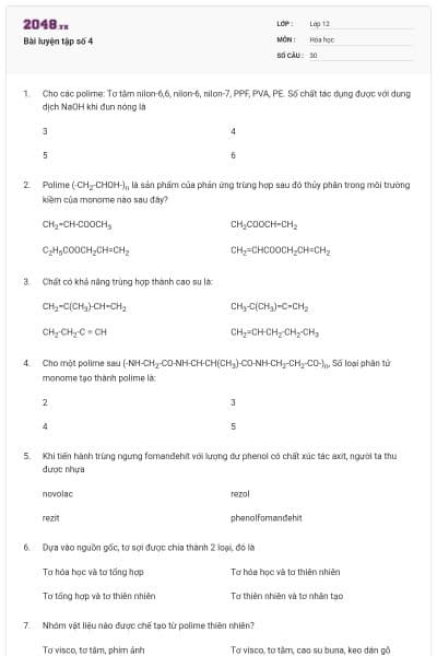 Bài luyện tập số 4