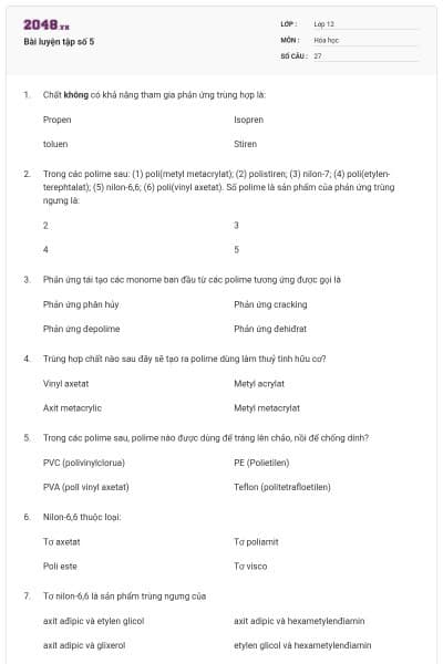 Bài luyện tập số 5