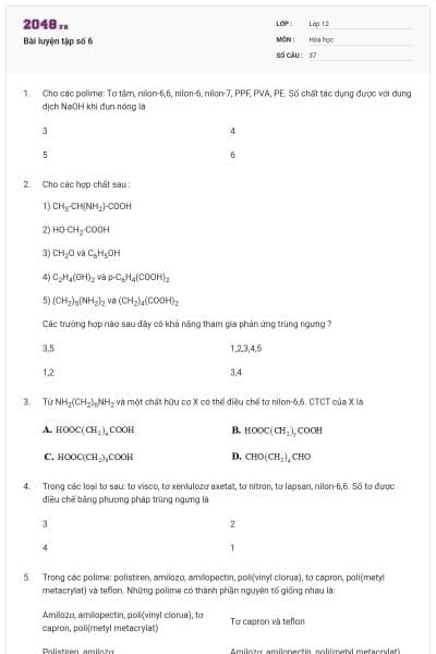 Bài luyện tập số 6