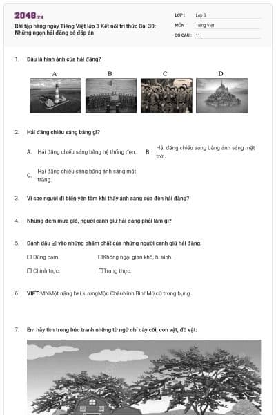 Bài tập hàng ngày Tiếng Việt lớp 3 Kết nối tri thức Bài 30: Những ngọn hải đăng có đáp án