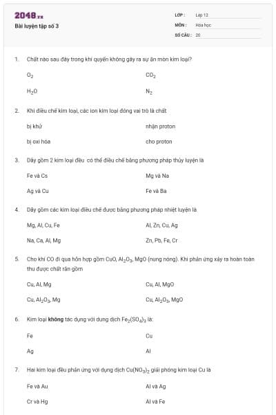 Bài luyện tập số 3