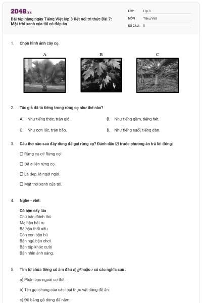 Bài tập hàng ngày Tiếng Việt lớp 3 Kết nối tri thức Bài 7: Mặt trời xanh của tôi có đáp án