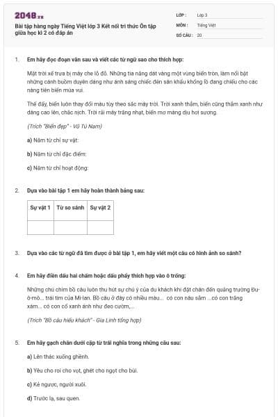 Bài tập hàng ngày Tiếng Việt lớp 3 Kết nối tri thức Ôn tập giữa học kì 2 có đáp án