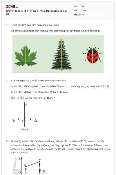 Chuyên đề Toán 11 CTST Bài 3. Phép đối xứng trục có đáp án