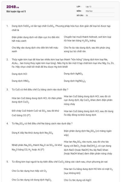 Bài luyện tập số 5