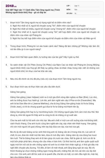 Giải SBT Ngữ văn 11 Cánh diều Tấm lòng người mẹ (Trích Những người khốn khổ) Huy - gô có đáp án