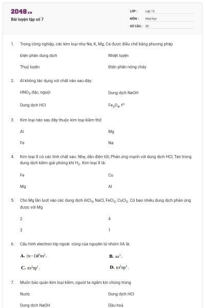 Bài luyện tập số 7