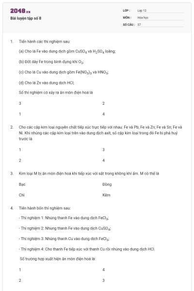 Bài luyện tập số 8