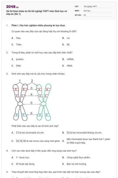 Đề thi tham khảo ôn thi tốt nghiệp THPT môn Sinh học có đáp án (Đề 1)