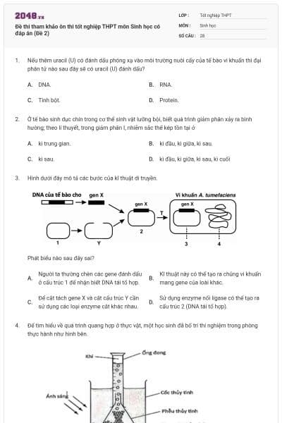 Đề thi tham khảo ôn thi tốt nghiệp THPT môn Sinh học có đáp án (Đề 2)