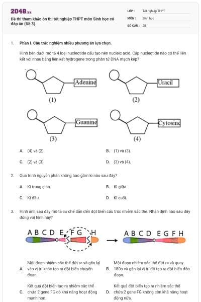 Đề thi tham khảo ôn thi tốt nghiệp THPT môn Sinh học có đáp án (Đề 3)