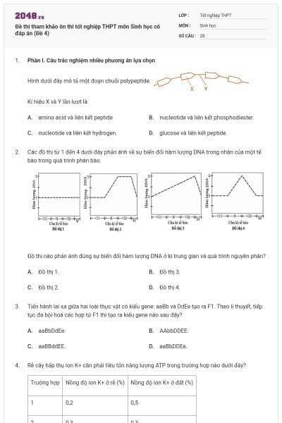 Đề thi tham khảo ôn thi tốt nghiệp THPT môn Sinh học có đáp án (Đề 4)