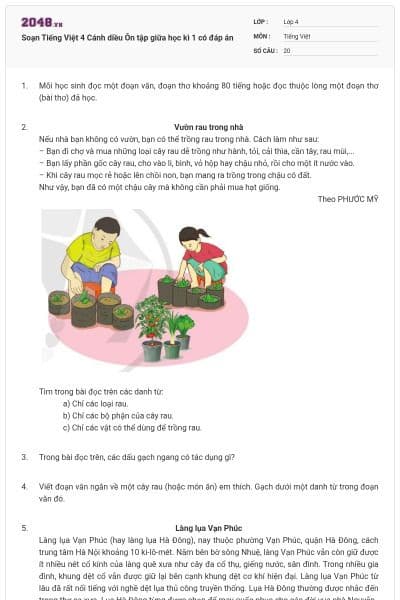 Soạn Tiếng Việt 4 Cánh diều Ôn tập giữa học kì 1 có đáp án