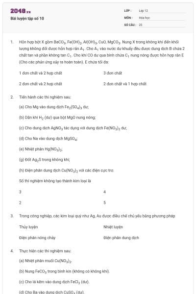 Bài luyện tập số 10