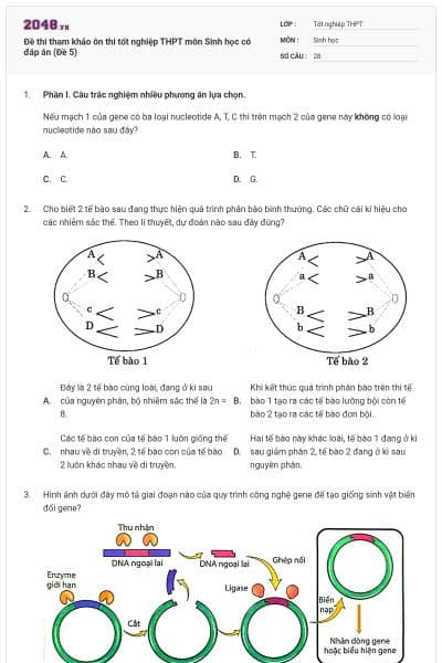 Đề thi tham khảo ôn thi tốt nghiệp THPT môn Sinh học có đáp án (Đề 5)