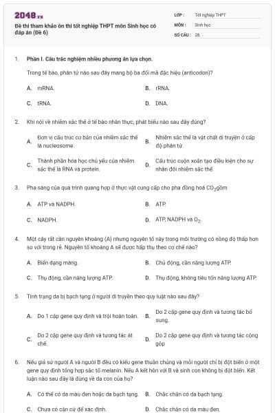 Đề thi tham khảo ôn thi tốt nghiệp THPT môn Sinh học có đáp án (Đề 6)