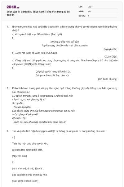 Soạn văn 11 Cánh diều Thực hành Tiếng Việt trang 23 có đáp án