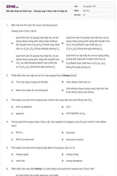 Bài tập tổng ôn Sinh học - Quang hợp ở thực vật có đáp án