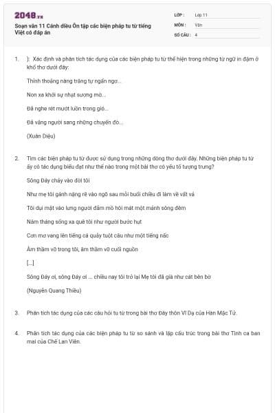 Soạn văn 11 Cánh diều Ôn tập các biện pháp tu từ tiếng Việt có đáp án