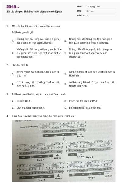 Bài tập tổng ôn Sinh học - Đột biến gene có đáp án