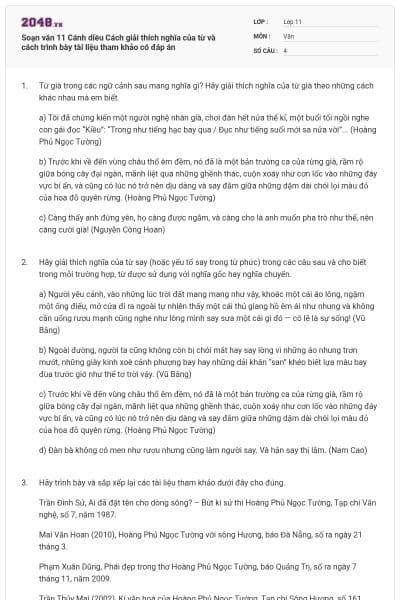 Soạn văn 11 Cánh diều Cách giải thích nghĩa của từ và cách trình bày tài liệu tham khảo có đáp án