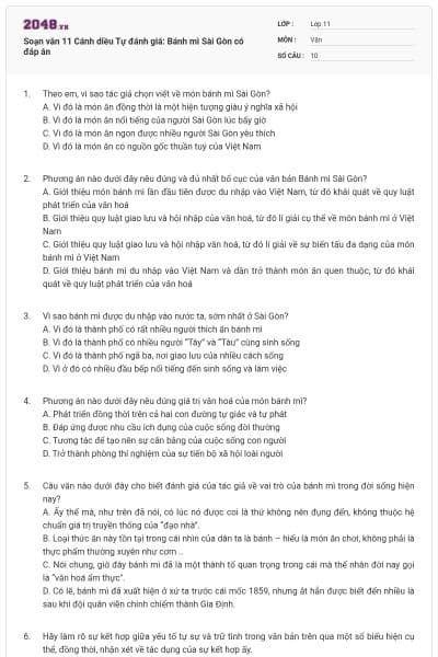 Soạn văn 11 Cánh diều Tự đánh giá: Bánh mì Sài Gòn có đáp án