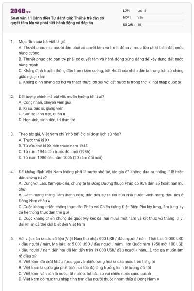 Soạn văn 11 Cánh diều Tự đánh giá: Thế hệ trẻ cần có quyết tâm lớn và phải biết hành động có đáp án