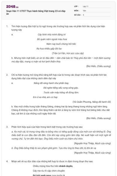 Soạn Văn 11 CTST Thực hành tiếng Việt trang 23 có đáp án