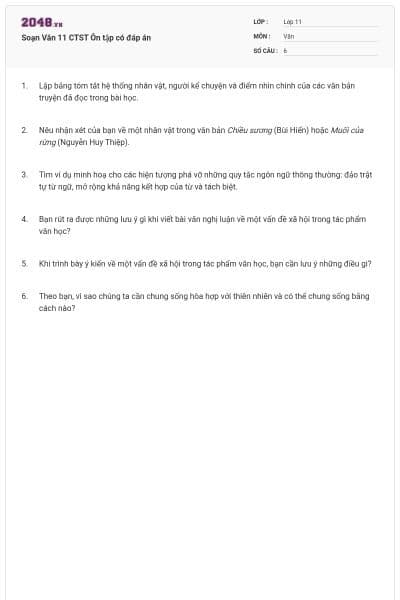 Soạn Văn 11 CTST Ôn tập có đáp án