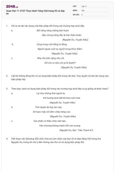 Soạn Văn 11 CTST Thực hành Tiếng Việt trang 45 có đáp án