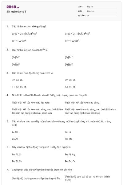 Bài luyện tập số 3