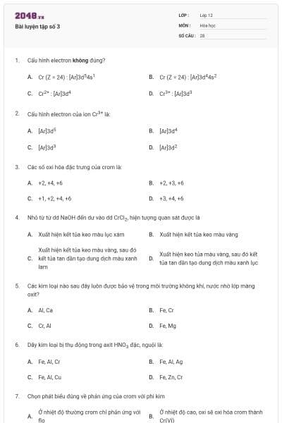 Bài luyện tập số 3