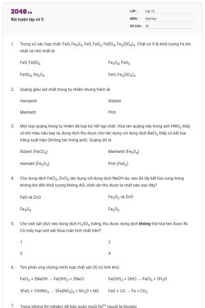 Bài luyện tập số 5