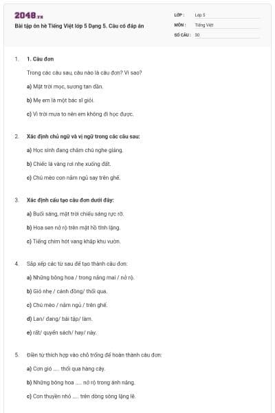 Bài tập ôn hè Tiếng Việt lớp 5 Dạng 5. Câu có đáp án