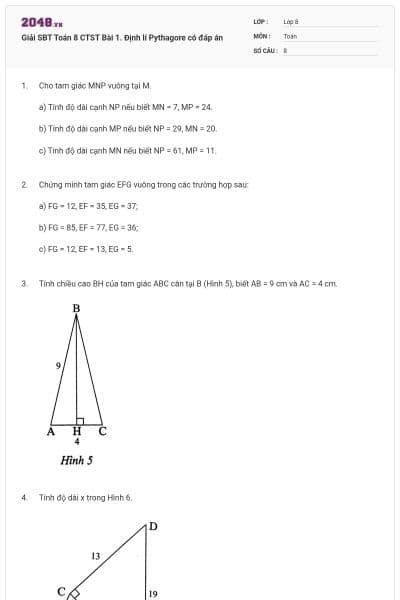 Giải SBT Toán 8 CTST Bài 1. Định lí Pythagore có đáp án