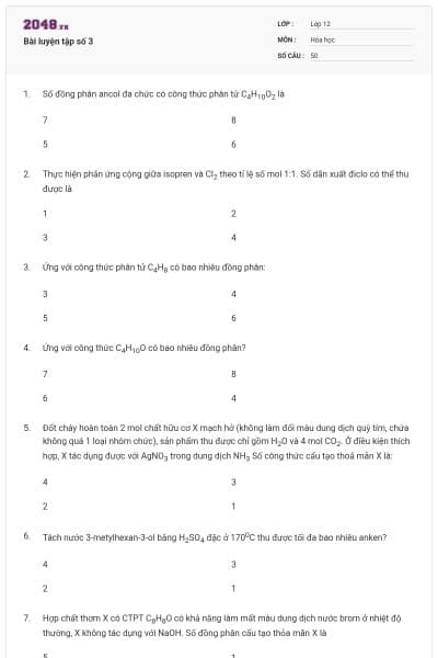 Bài luyện tập số 3